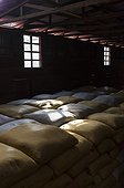 Coffee bean bags - Alajuela Costa Rica