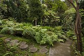 Monte Palace Tropical Garden - Madeira 