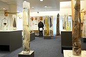 Penis Museum - Reykjavik Iceland ; The Penis museum houses a large collection of animals from around the world penis 