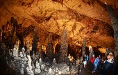 Postojna Cave - Inner Carniola Slovenia ; Postojna Cave, 22 km long and dug by the Pivka river, visiting nearly 6 km with a small train. The rooms are full of stalactites and stalagmites