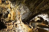 Postojna Cave - Inner Carniola Slovenia ; Postojna Cave, 22 km long and dug by the Pivka river, visiting nearly 6 km with a small train. The rooms are full of stalactites and stalagmites