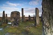 Circle Callanish standing stones in winter - Lewis Hebrides ; Monoliths prepared in gneiss Lewis, erected about 2000 years BC. 