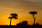 Vehicle vision at sunrise in savannah - Masai Mara Kenya