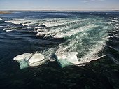 Aerial view of iceberg grounded in shallow rapids during tidal rip in Wager Bay on summer morning, Ukkusiksalik National Park, Nunavut Territory, Canada