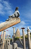 Turkey. Cappadocia. Uchisar. Sculpture of pigeons in the Pigeons Valley, named after the numerous troglodyte dovecots made on its fairychimneys.