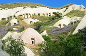 Turkey. Cappadocia. Uchisar. Near the village of Uchisar, the Pigeons Valley is name after the numerous troglodyte dovecots made on its fairychimneys.