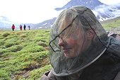 Denmark. Greenland. Disko island. Visitor with a mosquitoes nest during a trek.
