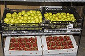Apples and Strawberries prepared for sale to individuals. Lufa Farms. Montreal. Province of Quebec. Canada