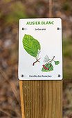 Signage of tree species in a forest