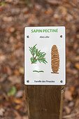 Signage of tree species in a forest