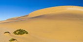 Sand dunes in Swakopmund, Namibia, Africa