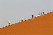 Tourist climbing Dune 45 in the Namib Desert. This is probably the worlds most photographed and climbed dune. In the evening. Namib-Naukluft National Park, Namibia.