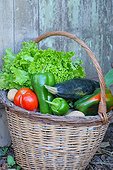 Basket of mixed vegetables: tomatoes, peppers, lettuce, zucchini, potatoes, country atmosphere,