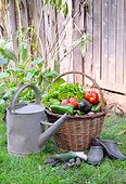 Basket of mixed vegetables: tomatoes, peppers, lettuce, zucchini, potatoes, and zinc watering can, gloves and shoes, country atmosphere,
