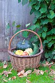 Basket of various autumn vegetables: pumpkin, zucchini, apples, walnuts, chestnuts, ...., country atmosphere,