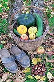 Basket of various autumn vegetables: pumpkin, zucchini, apples, walnuts, chestnuts, ...., pair of shoes, country atmosphere,