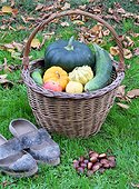 Basket of various autumn vegetables: pumpkin, zucchini, apples, walnuts, chestnuts, pairs of shoes ...., country atmosphere,