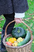 Woman holding a basket of various autumn vegetables: pumpkin, zucchini, apples, walnuts, chestnuts ..., country atmosphere,