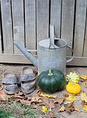 Basket of various autumn vegetables: pumpkin, zucchini, apples, walnuts, chestnuts ...., watering zinc and wooden shoes, country atmosphere,