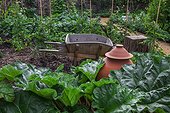 Kew Gardens. Rhubarb pots bleach rhubarb and wooden wheelbarrow