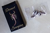 Chocolate with a dessert scorpion inside