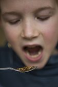 Education of edible insects at a primary school in the Netherlands