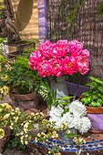 Outdoor spring table, peonies, Lady Banks' rose, guelder-rose, Provence, France