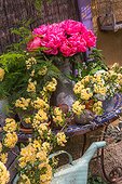 Outdoor spring table, peonies, Lady Banks' rose, guelder-rose, Provence, France