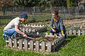 Young couple planting salads in a kitchen garden