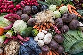 Vegetable mix with leeks , carrots, cucumbers , cabbage, radishes , beets , eggplant, salads.