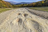 Sauropod footprints in Plagne in the Jura , Ain, France . Footprints left by diplodocus (herbivorous sauropods) in the mud of a Jurassic lagoon and discovered in 2009; it is the wider footprints known world