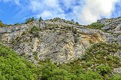 Tortured folds in the limestone of the Gorges of the Meouge, Biological Reserve and remarkable site north of Sisteron, Haute-Provence Alps, France