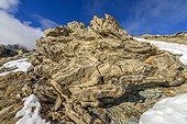 Folds in Dolostone, Sector Col de Peas, Queyras, Alpes, France