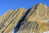 The Taillante remarkable mountain Queyras, Hautes-Alpes, France. rock : blonde marble (metamorphosed limestone)