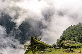 Clouds above the Cirque du Fer à Cheval , Haute Savoie , limestone Circus 4 5 km from development. With walls 500 to 700 meters high, crowned by peaks approaching 3000 meters, it is the largest alpine mountainous cirque . The circus is part of the natural reserve of Sixt-Fer-à-Cheval , and is also ranked Grand National Site