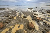 Stromatolites à marée basse - Hamelin Pool - Shark Bay - Australie Occidentale