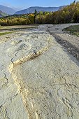 Sauropod footprints in Plagne in the Jura , Ain, France . Footprints left by diplodocus (herbivorous sauropods) in the mud of a Jurassic lagoon and discovered in 2009; it is the wider footprints known world