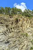 Folds very marked in flysch to Jausiers , High Ubaye , Alpes-de-Haute-Provence , France