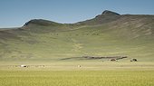 Centre de recherche archéologique de Tsatsyn ereg, Tsatsyn Ereg - Province d'Arkhangai - Mongolie