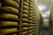 Meules de fromage sur étagères en épicéa, Cave d'affinage du Comté, Coopérative Fromagère du plateau de Bouclans, Haut-Doubs, Franche-Comté, France