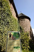 Medieval garden of Haut-Koenigsbourg's castle above Orschwiller , Alsace, France