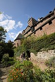 Medieval garden of Haut-Koenigsbourg's castle above Orschwiller , Alsace, France