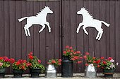 Milk cans and Pelargonium flowers in front of a barn door with Comtois horse motifs, Levier, Franche-Comté, France