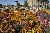 Urban flowering of a roundabout Tagètes , wood carvings and dolls, Flowering Villages Road, Plancher-Bas , Franche -Comté , France