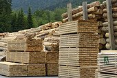 Boards and softwood logs bearing the label logo Selection Vosges, Scierie Germain Mougenot , Saulxures -sur -Moselotte , Vosges, France