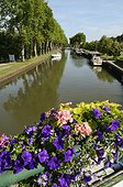 Downstream of the boats of locks of the seventeenth century the Canal de Briare, Rogny -les-Sept -Ecluses , Yonne, France
