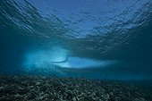 Surf on the reef at the entrance to Tiputa pass , Rangiroa atoll , French Polynesia .