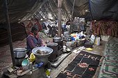 Woman inside a Yack wool tent, Surroundings of Korzok, Leh, Ladakh, Himalayas, India
