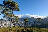 Montagne de la Table avec sa "Nappe" et la ville "bol" vue de la colline du Signal. Le Cap. Cap occidental. Afrique du Sud