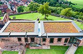 Green roof at the Lichtenberg Castle, Alsace, France